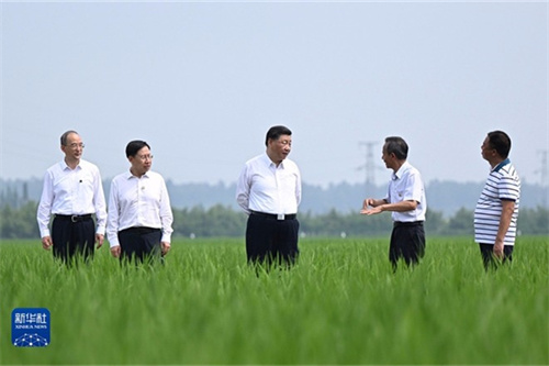 习近平：在新的征程上奋力谱写四川发展新篇章